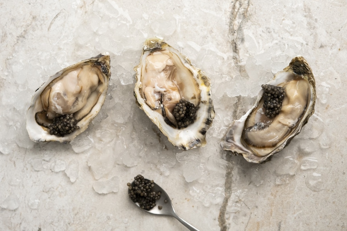 Nolan Wine & Kitchen