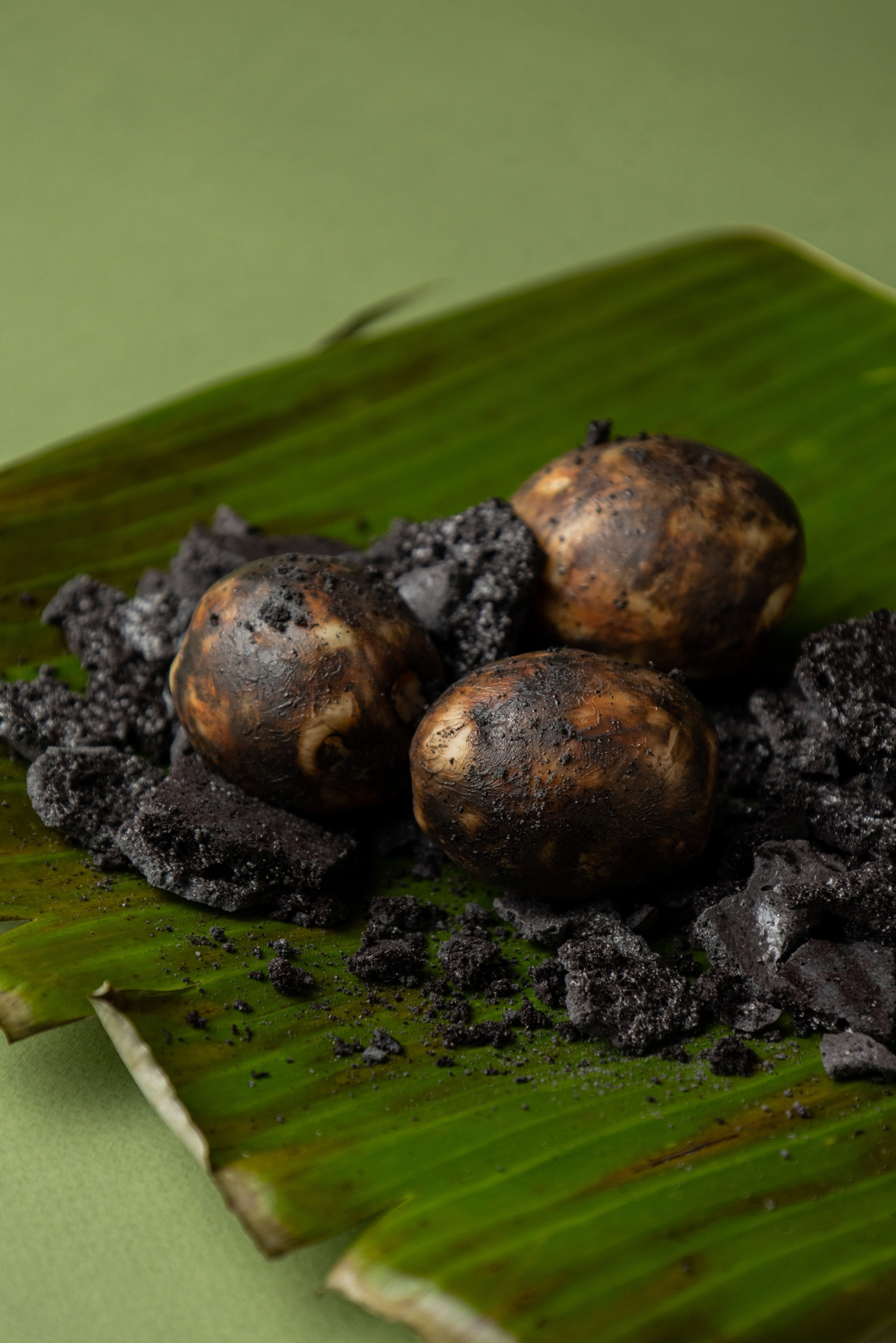 Villa Madelina (4).jpg